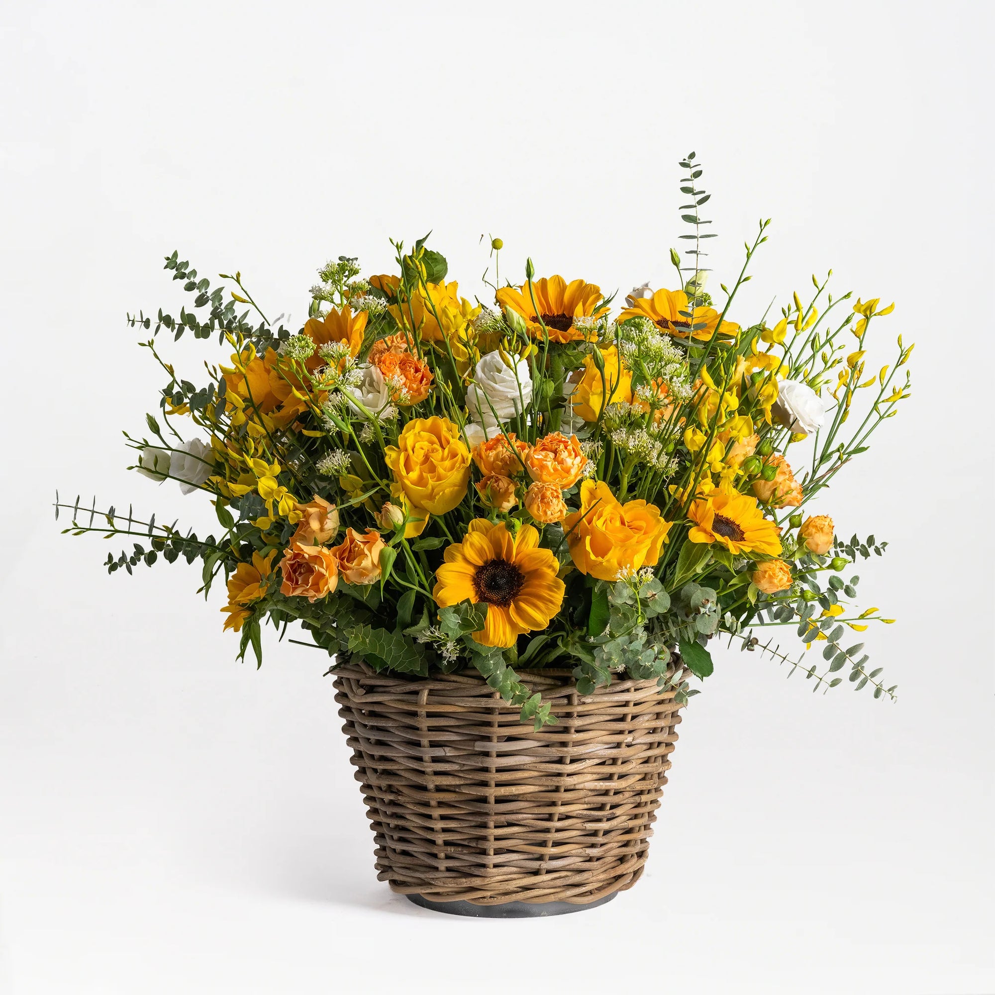 Summer Harvest